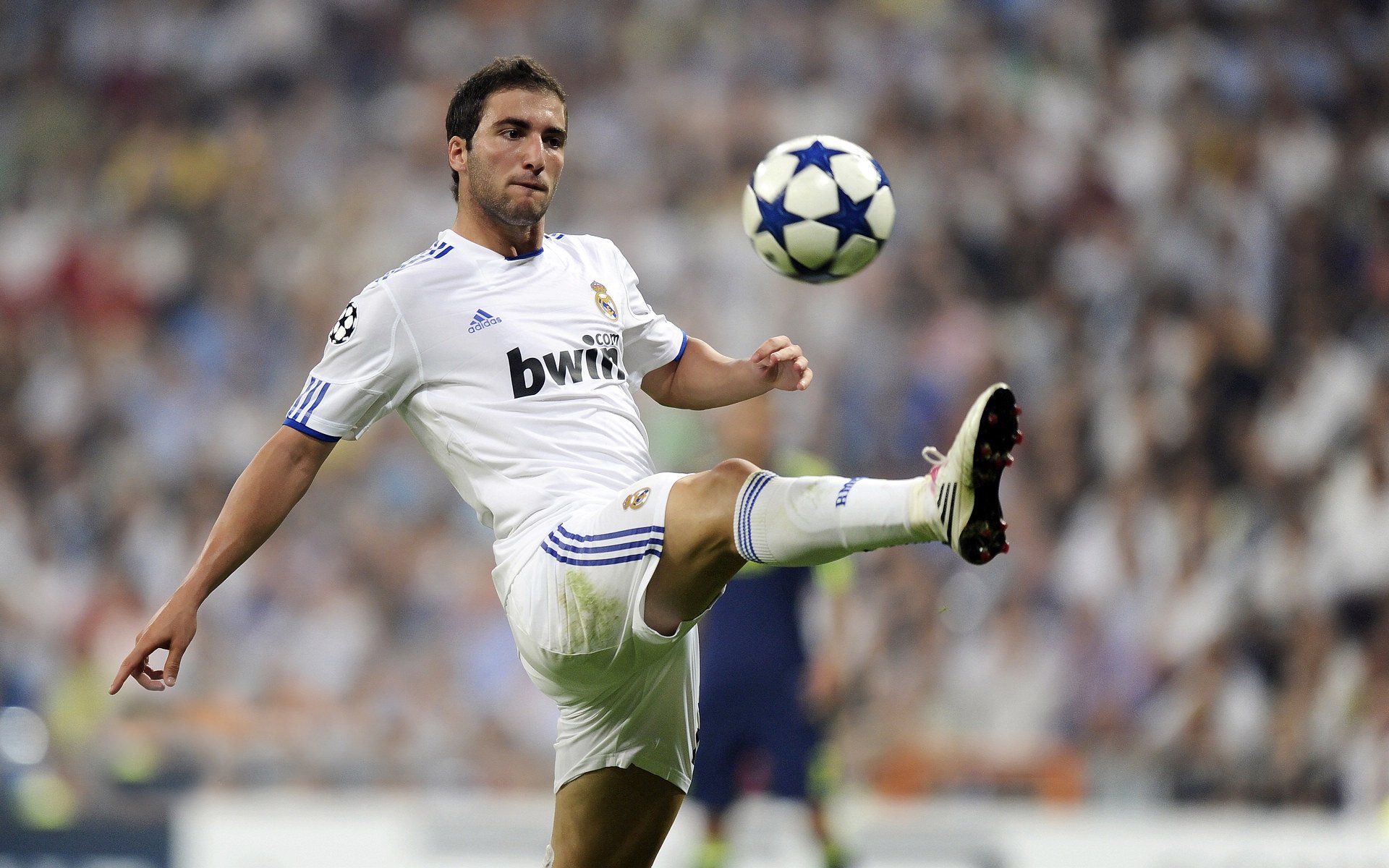 开云体育开云-博彩公司看好勇士队夺冠,赔率领先,勇士队全场