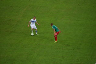 开云体育全站-国乒奖金出炉,王艺迪喜提28万成大赢家!陈幸同仅获3万,奖金分配引热议