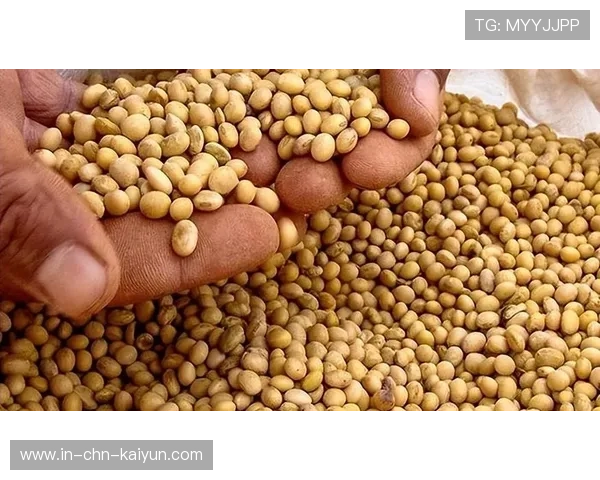 大豆关税成贸易绊脚石，中国暂停采购美豆，中国美国大豆关税